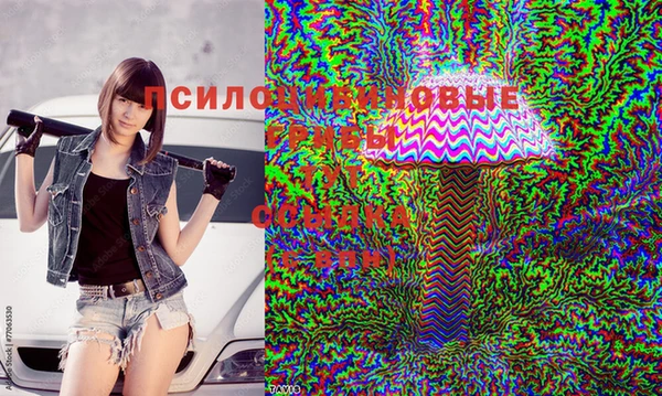эйфоретик Абдулино